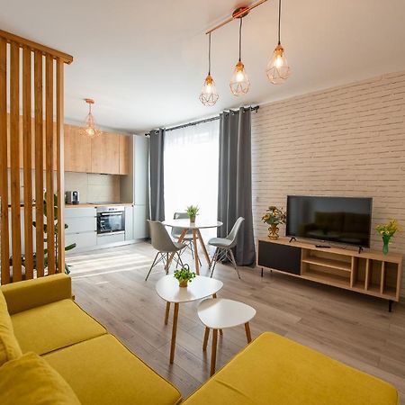 Art Apartment Тыргу-Муреш Экстерьер фото